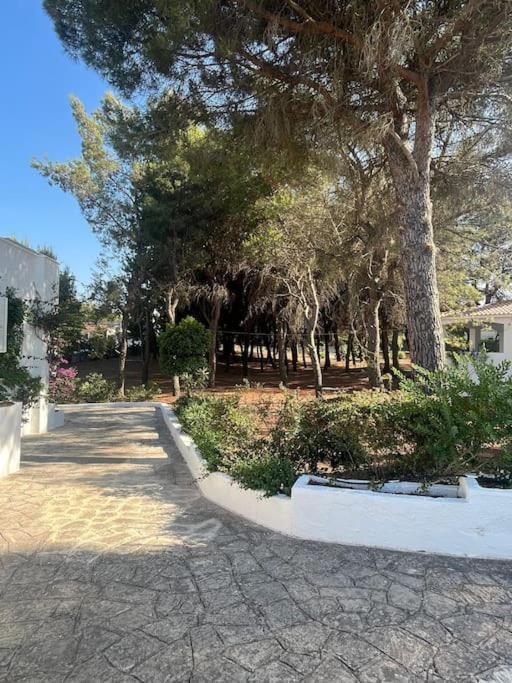 Bouganville 2 Villa *